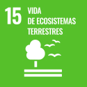 Vida de ecosistemas terrestres Vida de ecosistemas terrestres