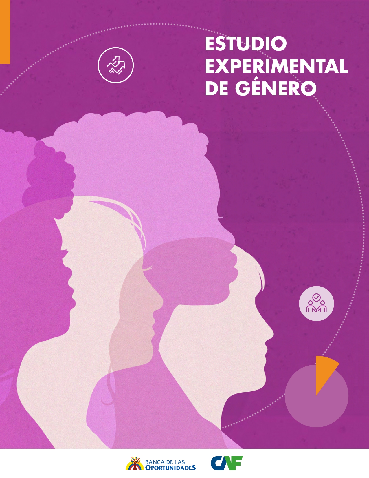 Experimental Gender Study