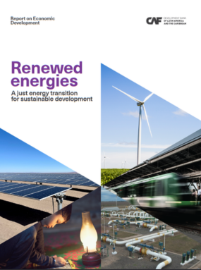 RED 2024: Renewed Energies: A just energy transition for sustainable development